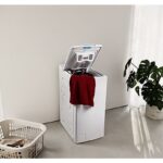 ASSET_MMS_172984375-2-2