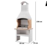 Barbacoa-Module-Grill-de-obra-para-lena-y-carbon-Palazzetti-Ariel-2