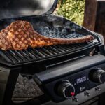 Barbacoa-de-cemento-para-carbon-Palazzetti-Aral-GR-18-1