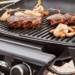 Barbacoa-de-cemento-para-carbon-Palazzetti-Aral-GR-19-1