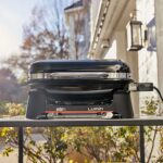 Barbacoa-electrica-portatil-Parrilla-49-x-33-cm-Weber-Lumin-Black-1502045-7-1